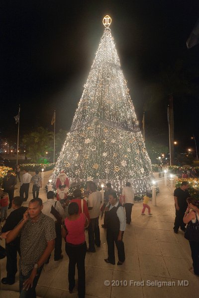 20101201_205542 D3.jpg - Christmas tree outside Intercontinental Hotel